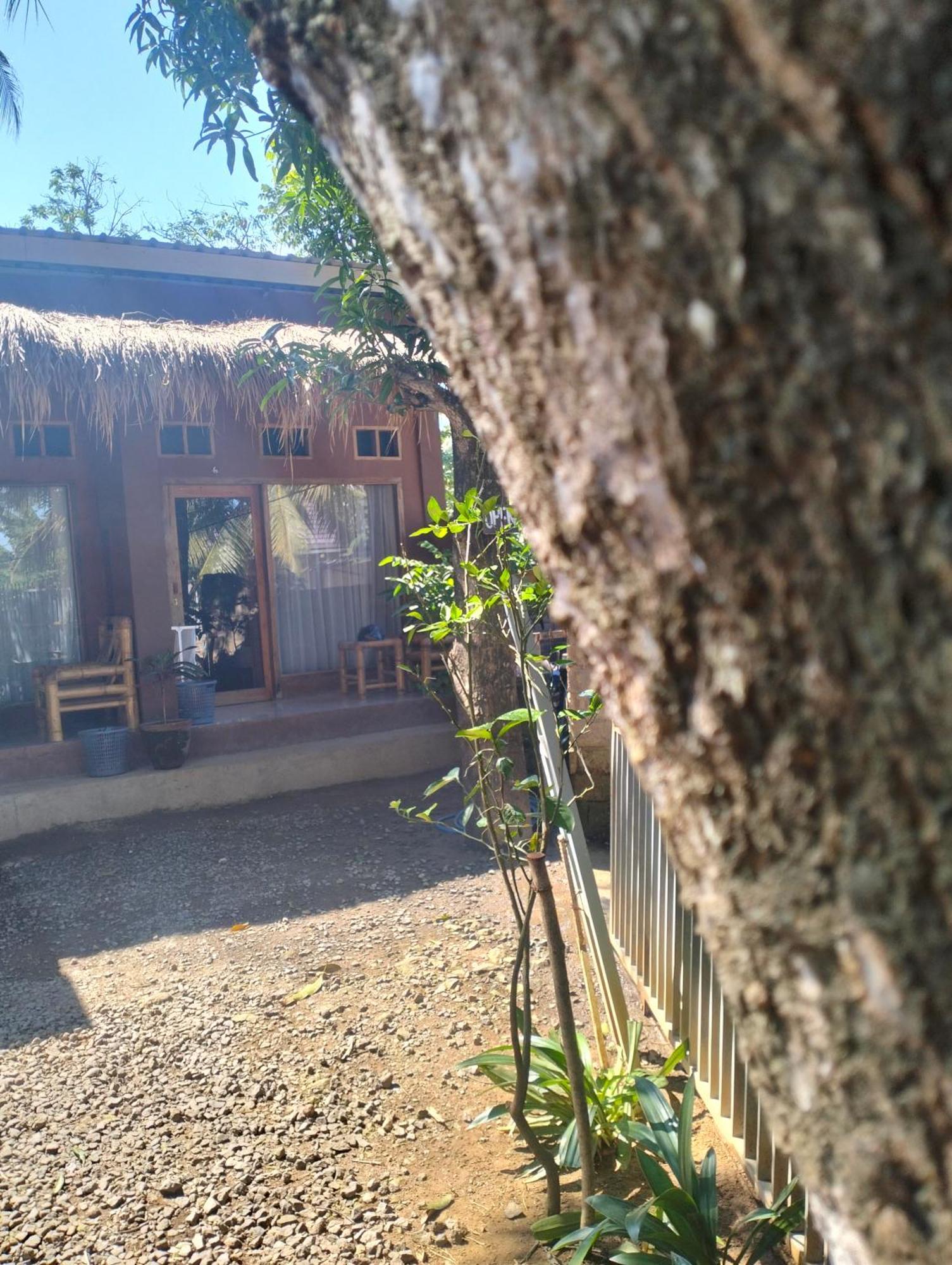 Fullmoon Homestay Kuta  Exterior foto